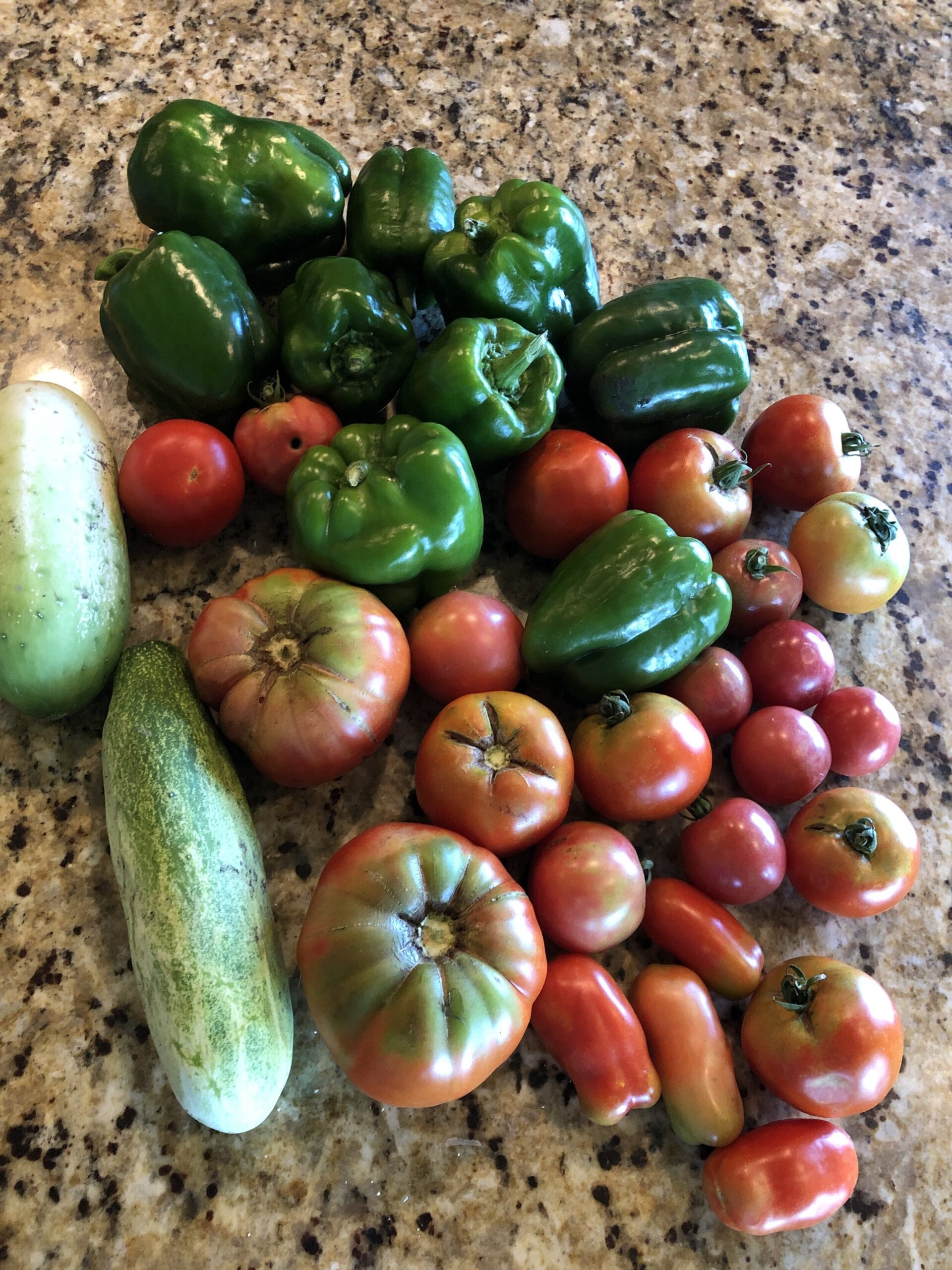 Fresh harvest of assorted vegetables including green bell peppers, red and green tomatoes, and a cucumber, arranged on a granite countertop.